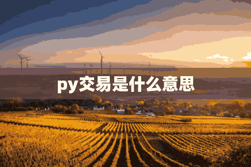 py交易是什么意思(py交易是什么意思网络用语)